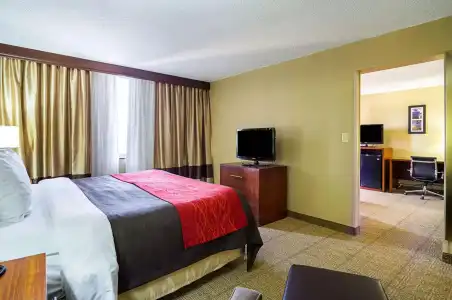 Comfort Inn Cleveland Downtown - 6