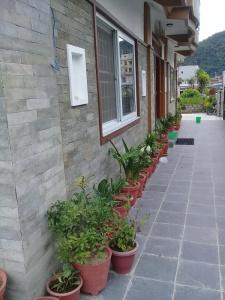 Basanta Inn - 7