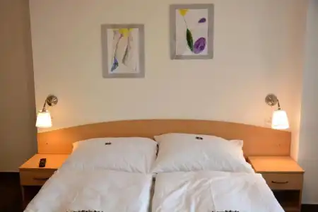Wellness Vila Bohemia - 60