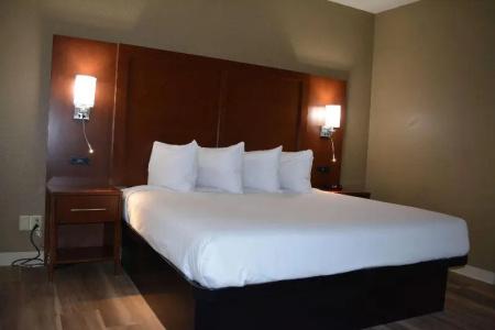 Wingate by Wyndham College Station South - 113
