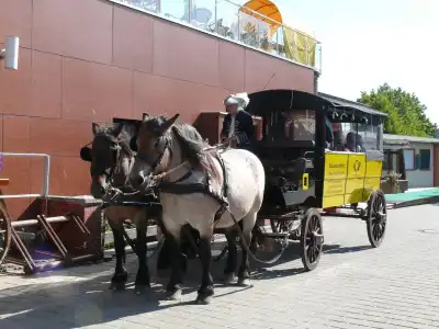 Am Brauhaus - 10
