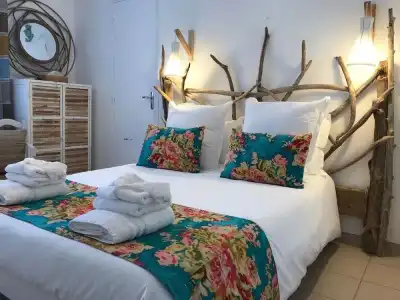 Hôtel Le Neptune en Camargue - 4