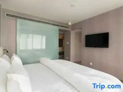 Jinjiang Metropolo Hua Ting Guest House - 101