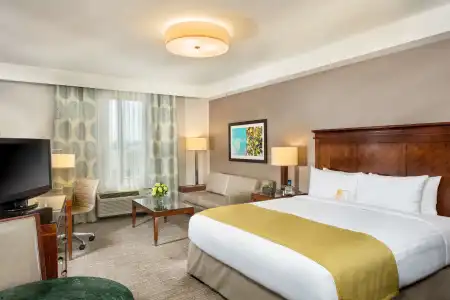 Ayres Anaheim - 4