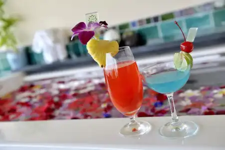 Mangosteen Ayurveda & Wellness Resort - 95