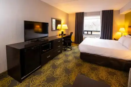 Comfort & Suites - 34