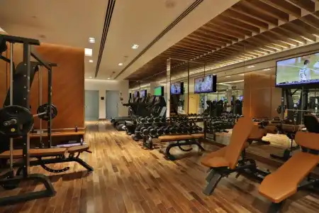 VIP - 17