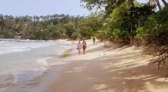 Pearl Resort Mirissa - 12