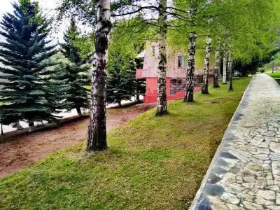 Ani Resort - 80