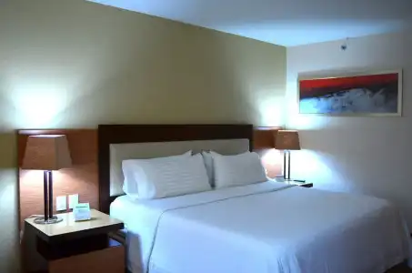 Holiday Inn Select - Guadalajara by IHG - 87