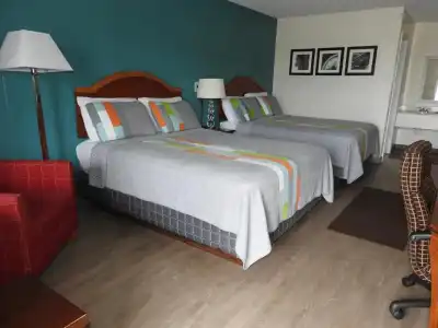 Edelweiss Inn - 63