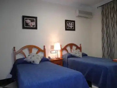 Oasis - 1