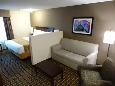 Comfort Inn & Suites - 32