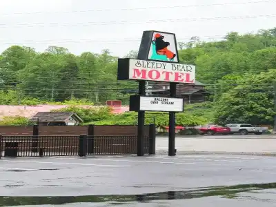 Sleepy Bear Motel - 30