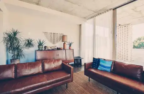 South Congress - 85