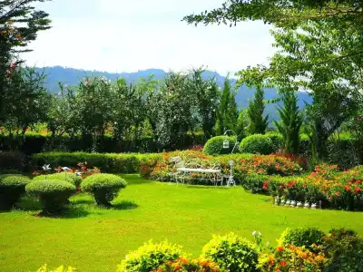 The Focus Khaoyai Resort - 21