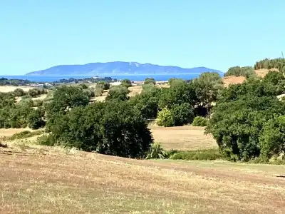 Le Querciolaie dei Ricci - 57