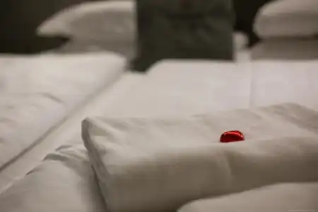 Boutique Exlusive B&B - 95