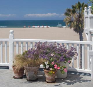 Shutters on the Beach - 14