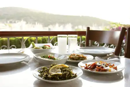 Yalcin - 9