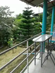 Khao Kho Tree Top - 16