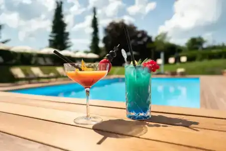 Relais & Châteaux Tennerhof - 42