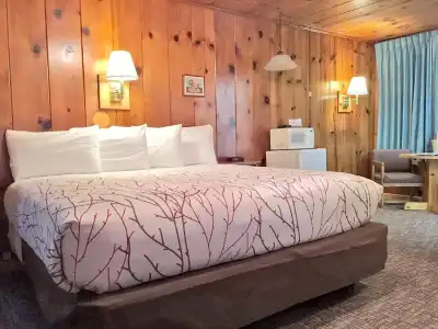 Park Motel and Cabins - 162