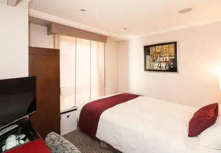 Sotetsu Fresa Inn Tokyo-Akasaka - 15