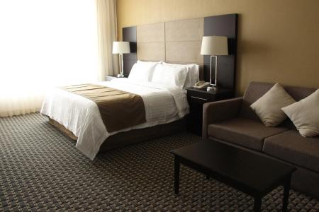 Holiday Inn México Santa Fe by IHG - 18