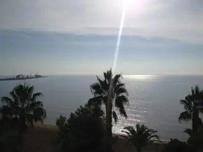 Miami Mar - 6