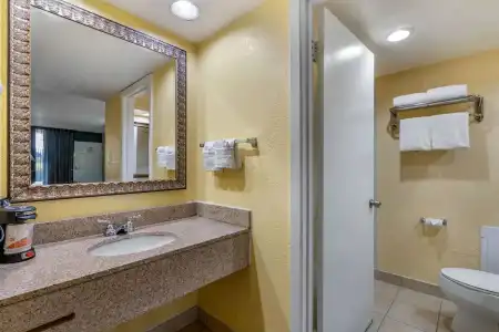 Clarion Inn Orlando International Drive - ICON Park - 7
