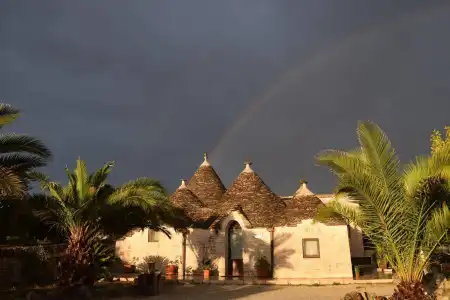 La Rosa dei Trulli B&B - 4