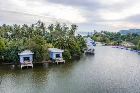 Mafiya Resort - 59