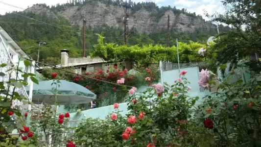 Guest House Green Rose - 59