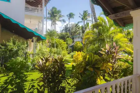 Residence Playa Colibri - 142