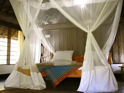 Peponi Beach Resort - 1