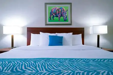 Comfort Inn at the Zoo - 37