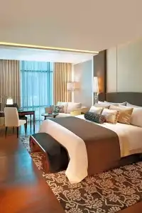 The St. Regis - 31