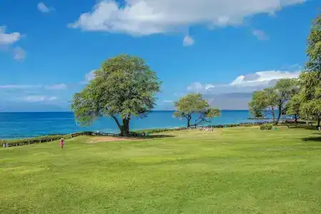 Maui Parkshore #212 - 16