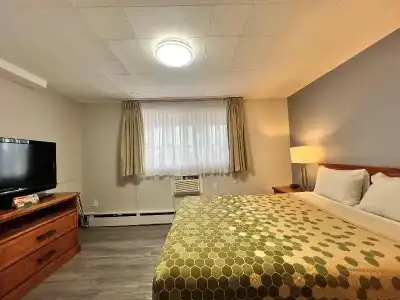 Econo Lodge Motel Village - 81