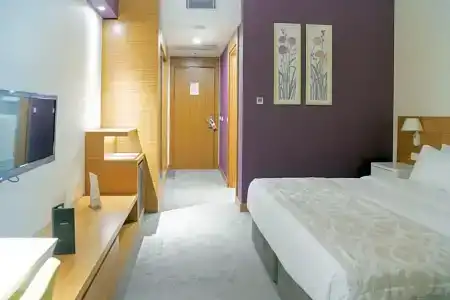 Ramada Plaza by Wyndham Istanbul Asia Airport - 48