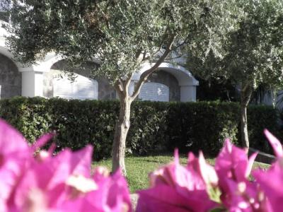 Poggio Aragosta & Spa - 71