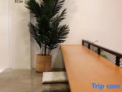 Tropical Summer Hostel - 33