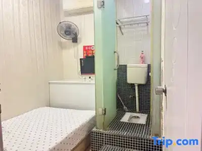 Wanfeng - 11