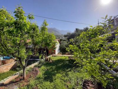 Yard Paradise - 20