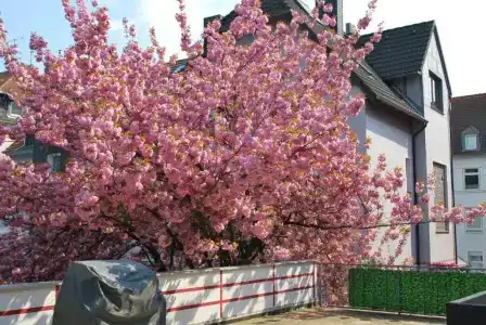 Am Sportpark - 142