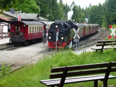 Pension Gelpkes Mühle - 42