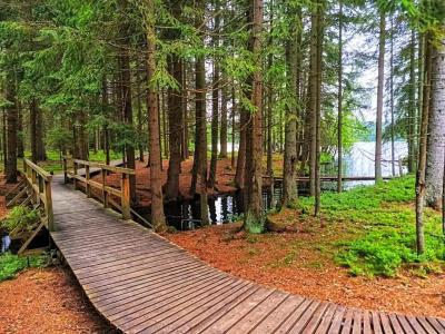OREA Spa Cristal Mariánské Lázně - 30