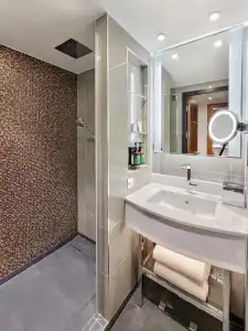 Hyatt Regency London Albert Embankment - 55