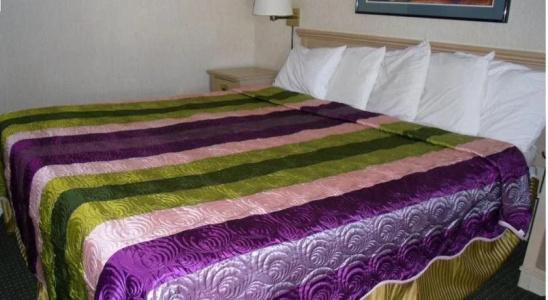 Vagabond Inn Reno - 4
